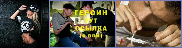 тгк Гусев
