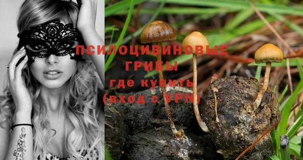 экстази Гусь-Хрустальный
