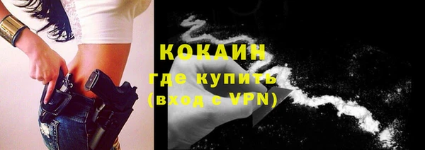 тгк Гусев