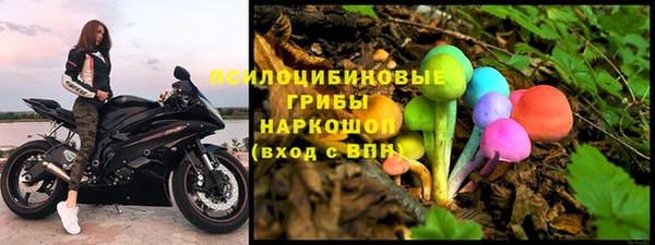 экстази Гусь-Хрустальный